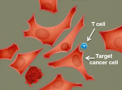 video-2-schematic.jpg